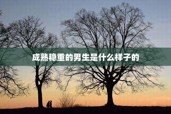 成熟稳重的男生是什么样子的