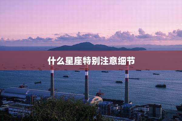 什么星座特别注意细节