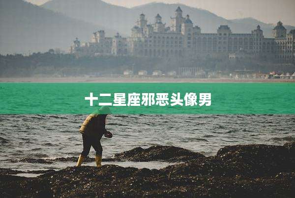 十二星座邪恶头像男