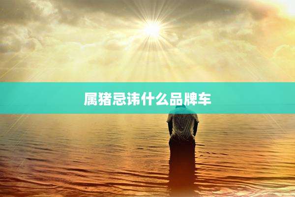 属猪忌讳什么品牌车