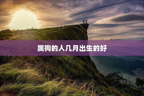 属狗的人几月出生的好