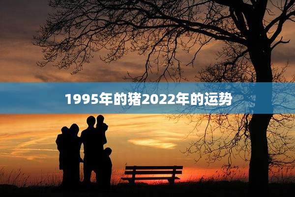 1995年的猪2022年的运势