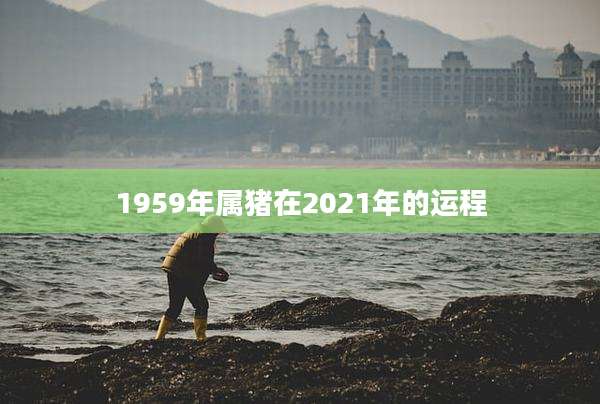 1959年属猪在2021年的运程