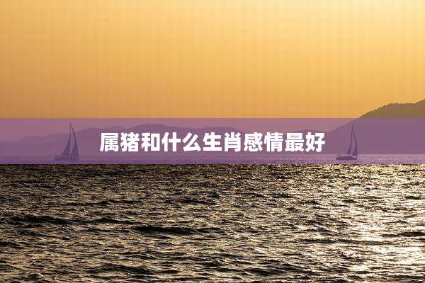 属猪和什么生肖感情最好