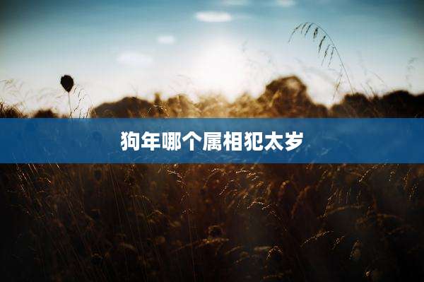 狗年哪个属相犯太岁
