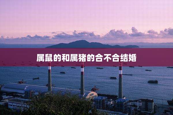 属鼠的和属猪的合不合结婚