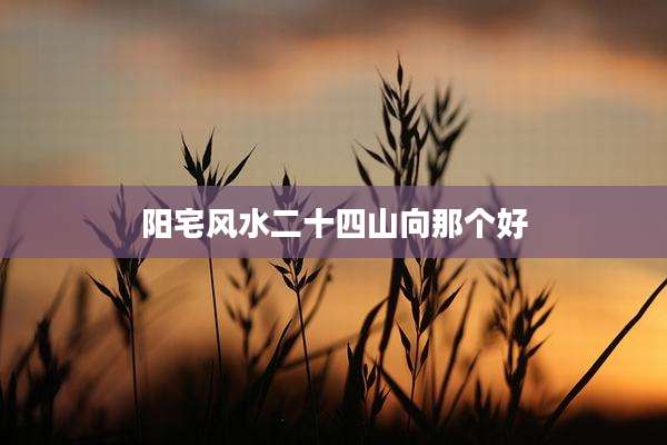 阳宅风水二十四山向那个好