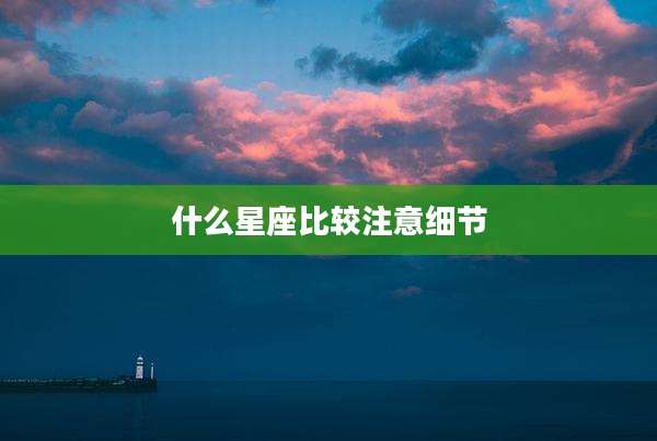 什么星座比较注意细节