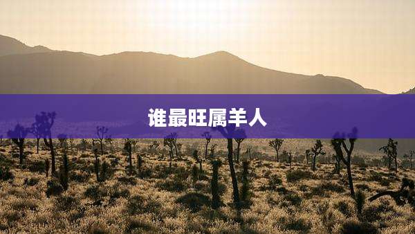 谁最旺属羊人