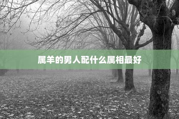 属羊的男人配什么属相最好