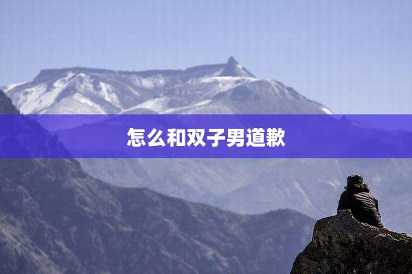 怎么和双子男道歉