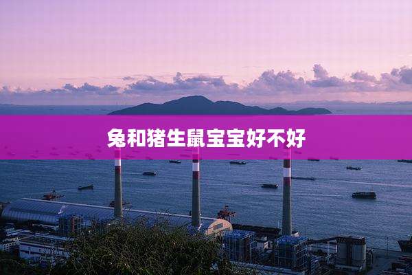兔和猪生鼠宝宝好不好