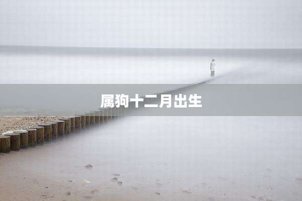 属狗十二月出生