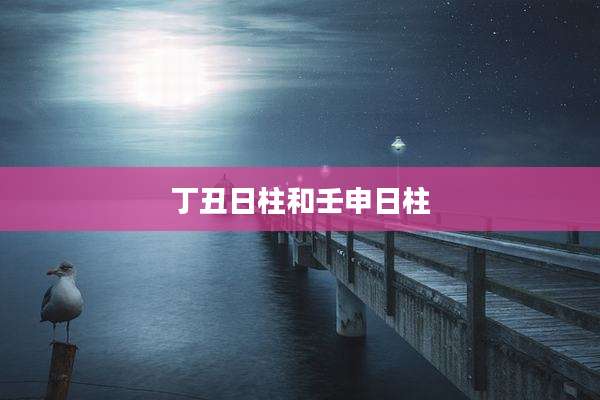 丁丑日柱和壬申日柱