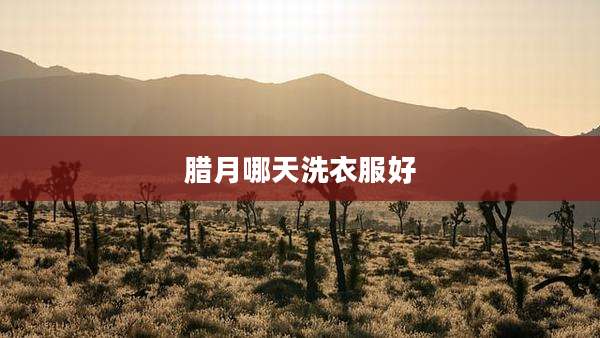 腊月哪天洗衣服好