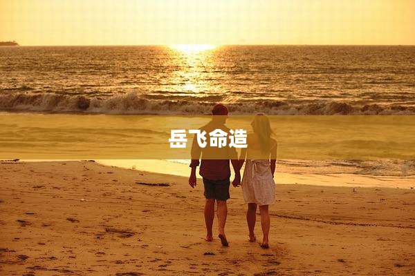 岳飞命造