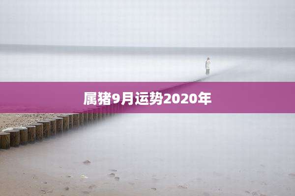属猪9月运势2020年