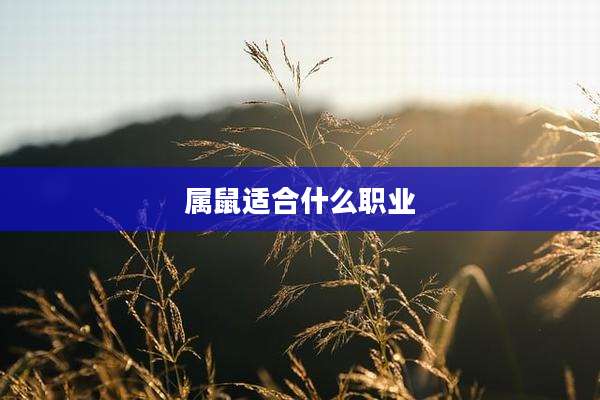 属鼠适合什么职业