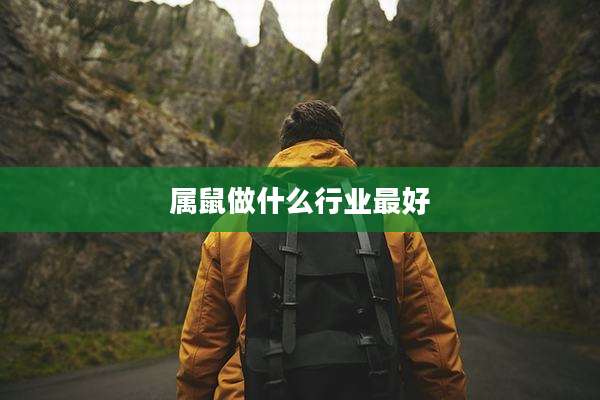 属鼠做什么行业最好