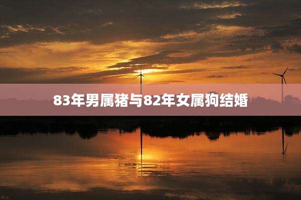83年男属猪与82年女属狗结婚
