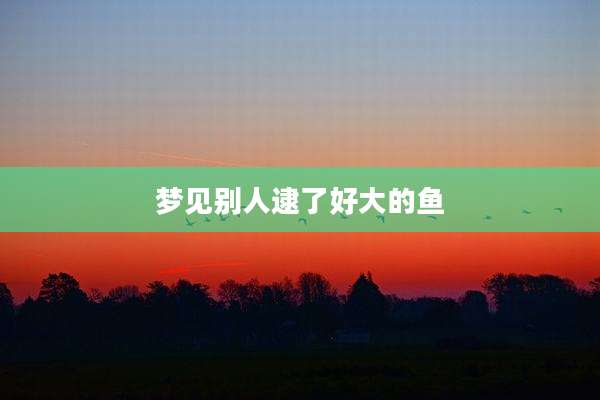 梦见别人逮了好大的鱼