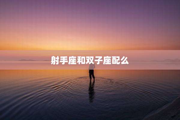 射手座和双子座配么