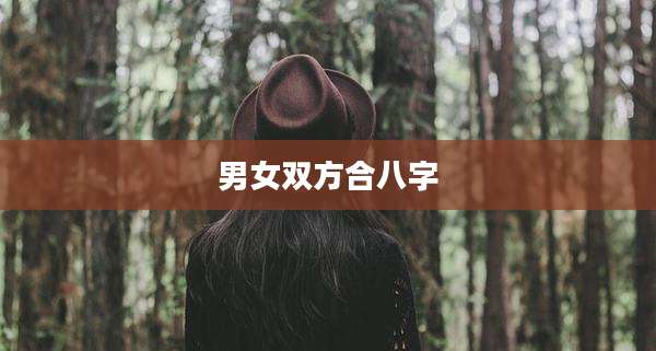 男女双方合八字