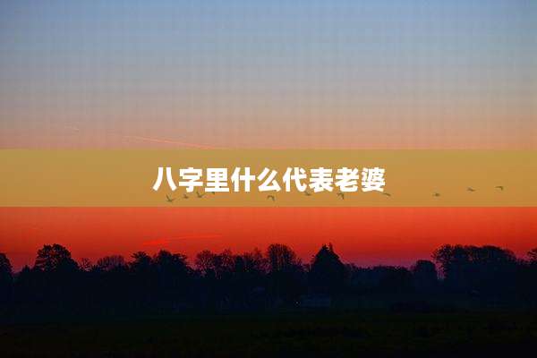 八字里什么代表老婆