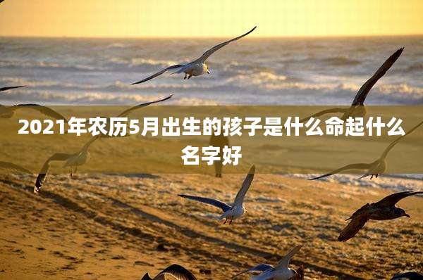 2021年农历5月出生的孩子是什么命起什么名字好