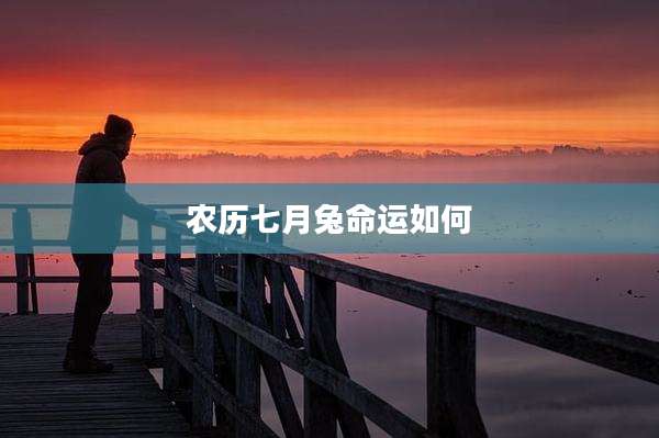 农历七月兔命运如何