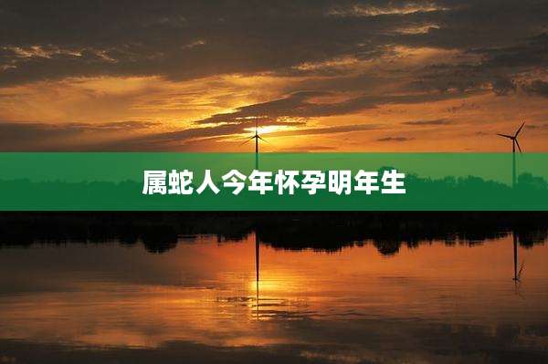 属蛇人今年怀孕明年生