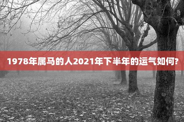 1978年属马的人2021年下半年的运气如何?