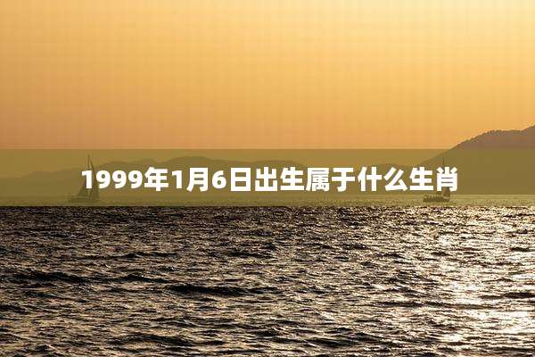 1999年1月6日出生属于什么生肖