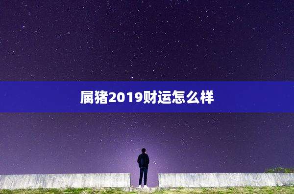 属猪2019财运怎么样