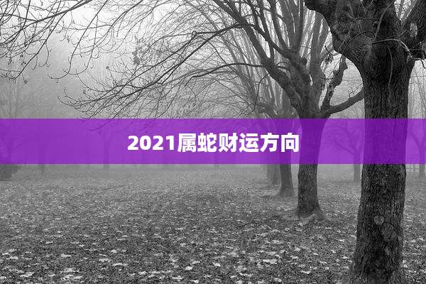 2021属蛇财运方向