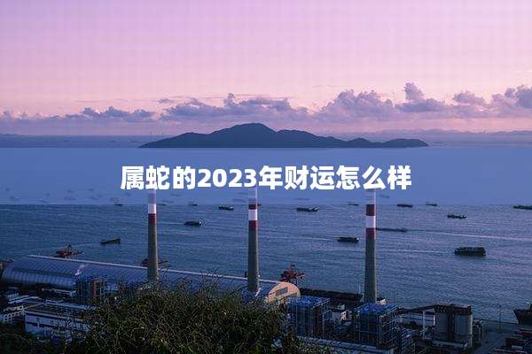 属蛇的2023年财运怎么样