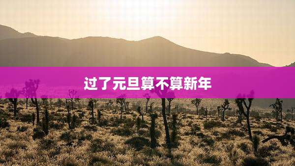 过了元旦算不算新年