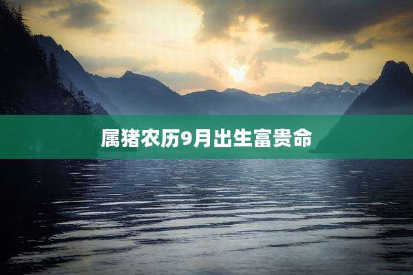 属猪农历9月出生富贵命