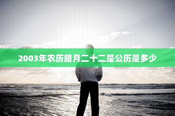 2003年农历腊月二十二是公历是多少