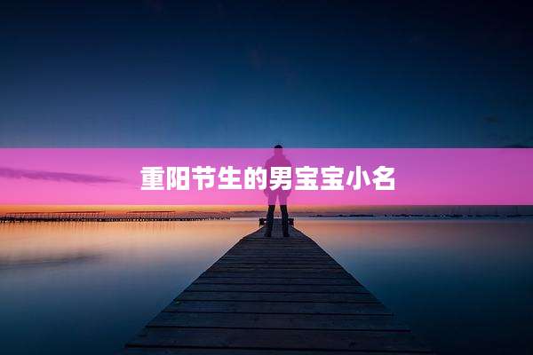 重阳节生的男宝宝小名