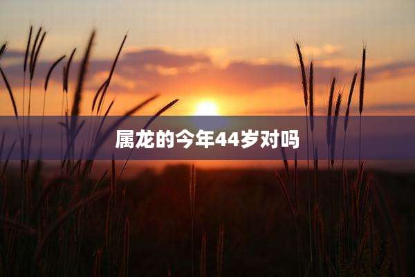 属龙的今年44岁对吗