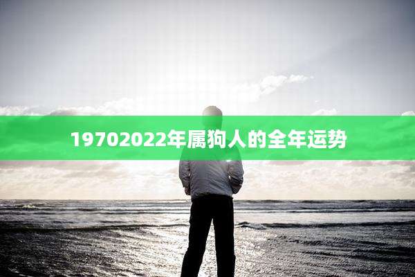 19702022年属狗人的全年运势
