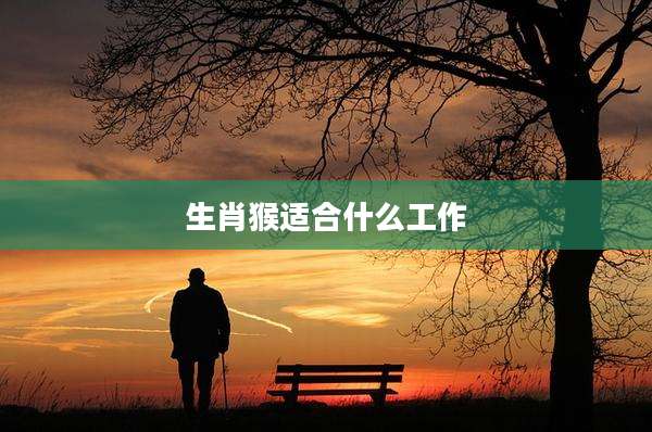 生肖猴适合什么工作