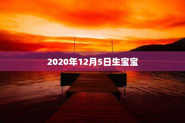 2020年12月5日生宝宝