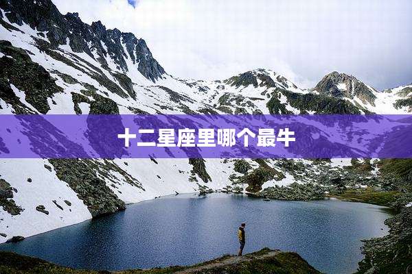 十二星座里哪个最牛
