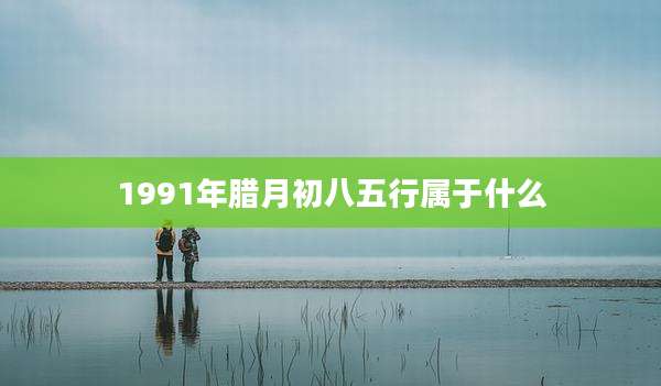 1991年腊月初八五行属于什么