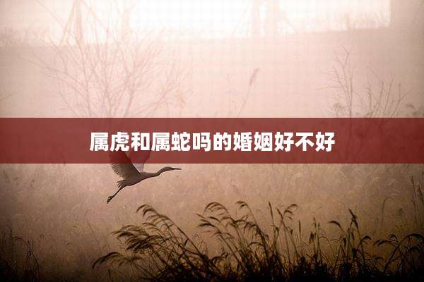 属虎和属蛇吗的婚姻好不好