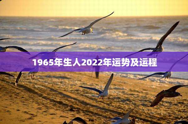 1965年生人2022年运势及运程