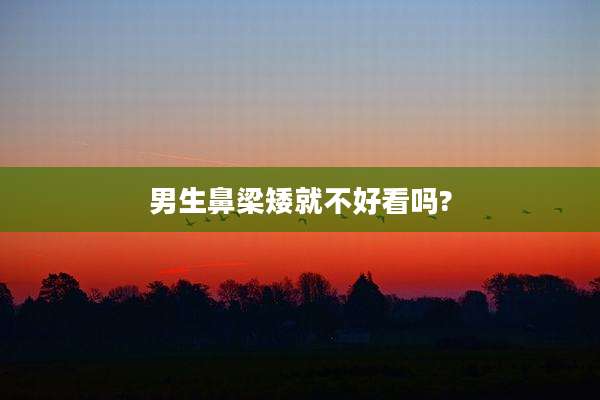 男生鼻梁矮就不好看吗?