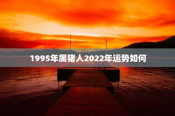 1995年属猪人2022年运势如何